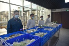 戰疫故事：把菜市場搬進食堂 解決員工后顧之憂